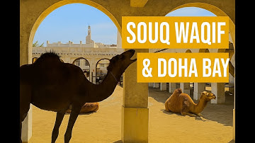 Souq Waqif Walk + Doha Bay Cruise | Qatar Travel Vlog | Quintessential Travel
