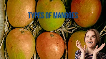 25 Different Types of Mangoes | Best Mango Varieties in the World