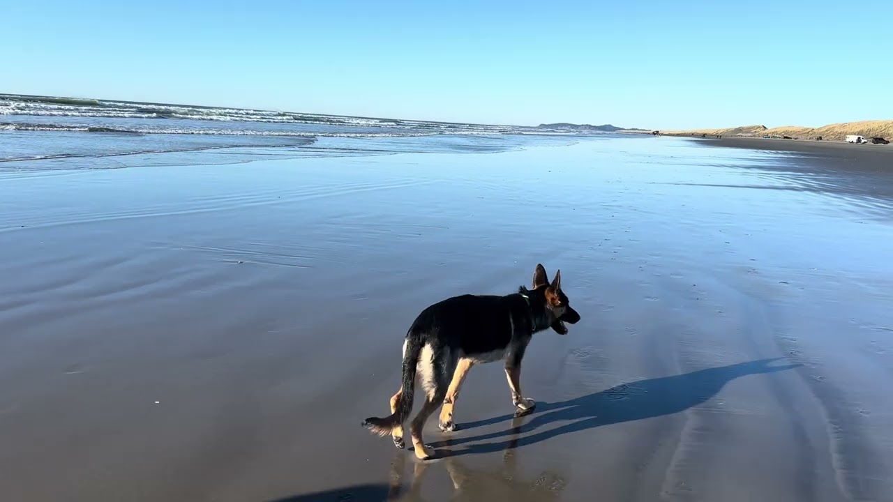 第一次见到大海/太平洋