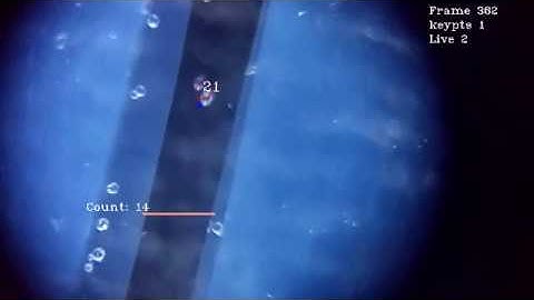 Object tracking in Python and OpenCV. Glass beads in microfludic channel