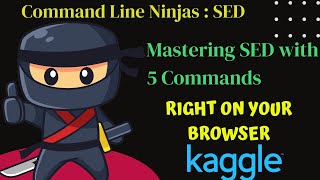 SED 101: How to Use the Command Line Tool in Docker for Efficient Text Editing