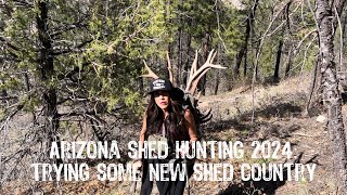 Arizona Shed Hunting 2024: Trying Some New Shed Country