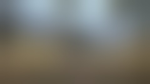 New! FFXIV ARR 11-22-2013 Live Letter - Minion Video