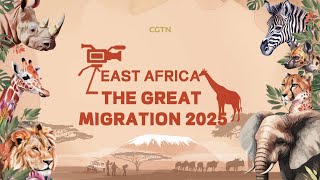 Live: Tracking the Great Migration