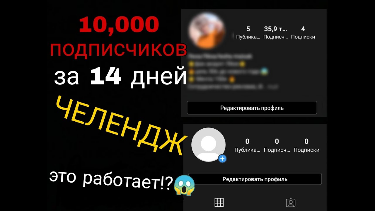 Эксперимент 10000 подписчиков. Инстаграм 10000 подписчиков. 10000 Подписчиков в Дзене. Набери на 10000 заплати 4000