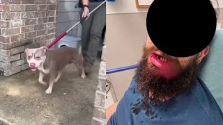 Pit Bull Mauled Local Man And Tore His Lips