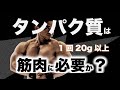 筋トレに必要なタンパク質はどのくらい？