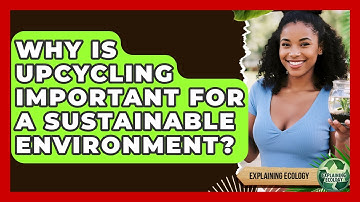 Why Is Upcycling Important For A Sustainable Environment? - Explaining Ecology