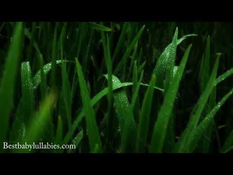 lullaby-for-babies-to-go-to-sleep-baby-lullaby-songs-go-to-sleep-lullaby-lullabies-baby-sleep-music