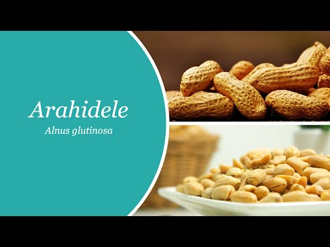 Video: Ce Este O Arahide