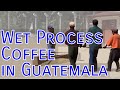 Wet Process Coffee in Guatemala