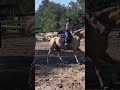 He was very sassy!🤪