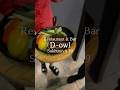 D-owl restaurant &amp; Bar Sukhumvit 39 Everyday 17:30 - 01:00 น. #shorts