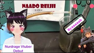 If Nurdrage Became A Vtuber.