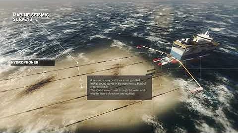 gFORCE Animation Inc -  Marine Seismic Surveys