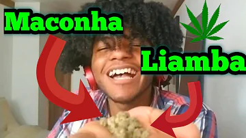 Para que serve a Folha da liamba?