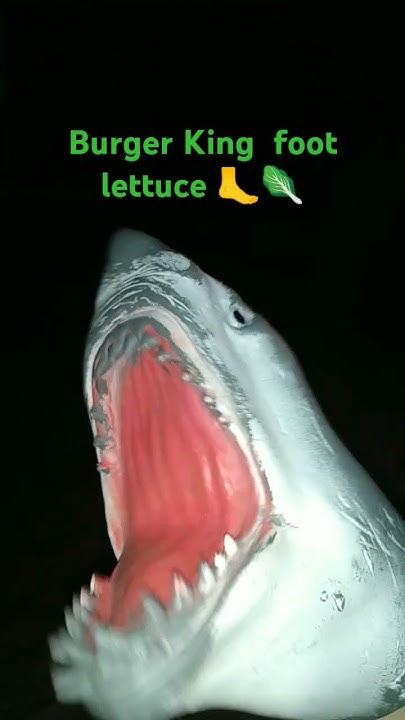 Number 15 Burger King Foot Lettuce Original Video Number 15 burger king foot lettuce. - YouTube