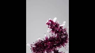 Crystals along a path: Blender Geometry Nodes