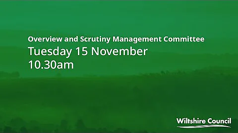 Overview and Scrutiny Management Committee, 15 November 2022, 10.30am