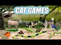 Cat Games for Cats | 10-Hour Frogs, Birds &amp; Bugs | Cat TV Entertainment