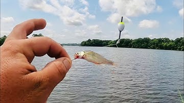 TIPS WHERE TO FIND POST SPAWN CRAPPIE🎣 POST SPAWN CRAPPIE FISHING 2024‼️