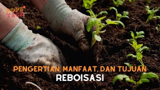 Popsctech : PENGERTIAN, MANFAAT, DAN TUJUAN REBOISASI #11