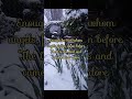 In The Bleak Midwinter Traditional Christmas Song With Lyrics mp3