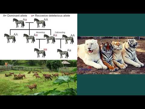 5  Konservasi pada Tingkat Spesies dan Populasi I