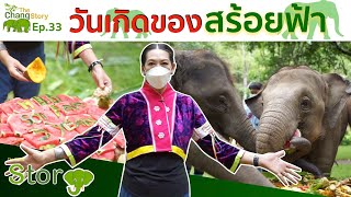 The Chang Story EP.33 วันเกิดสร้อยฟ้า ปางช้างแม่สา l The Chang Channel