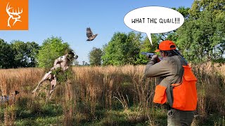 HOLD YOUR FIRE!!!! | Crazy Quail hunting in Georgia | Buck Commander