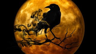 NIGHT CROWS PRIVATE SERVER - BETA