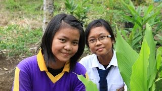 Mutiara di Bumi Sendawar