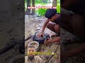 ম্যাজিক চাই দিয়ে কতো মাছ ধরলো দেখুন 😱#foryou #fishing #shortfeed #ytshorts #shorts #trending #viral
