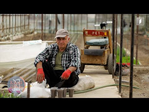 სათბური საოკუპაციო ზონაში