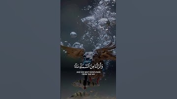 خَلَقَ السَّمَاوَاتِ بِغَيْرِ عَمَدٍ تَرَوْنَهَا ۖ وَأَلْقَىٰ فِي الْأَرْضِ رَوَاسِيَ#سورة_لقمان