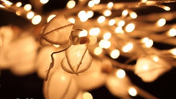 Deaf Center - Close Forever Watching