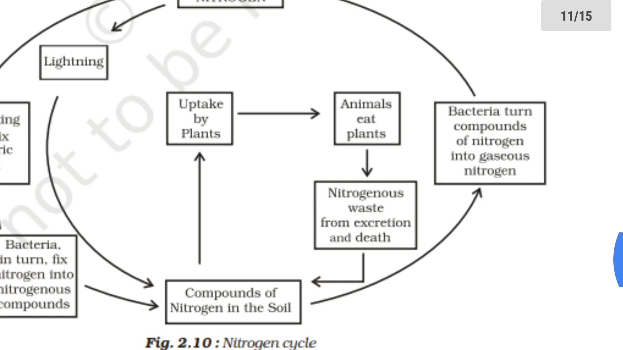 case study class 8 science chapter 2