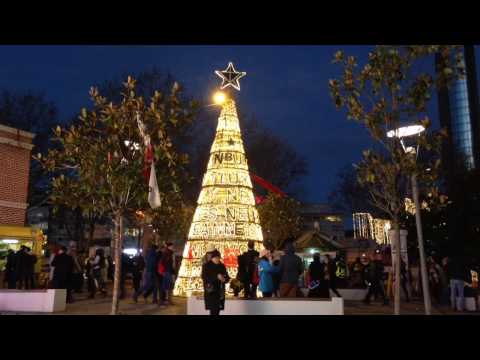 Happy New Year Tree in Beşiktaş, İstanbul/ Beşiktaş'ta Mutlu Yıllar Ağacı