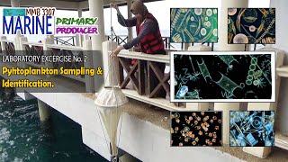 MMB3307- Marine Primary Producer - lab 2 [ Pyhtoplankton Sampling & Identification ]