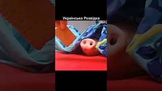 Байрактарна Розвідка