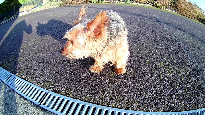 Eken H9R Test 1080P @ 60 FPS Best $100 Action Camera