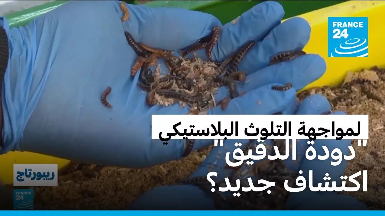 �����: -���� ������-.. ���� ����� �� ����� ������ ������ �������� ����������� �� ������
 - نشر قبل 7 دقيقة