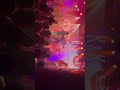 ダイアモンド⭐︎ユカイ ziggy 森重 The neat Beats ライブ
