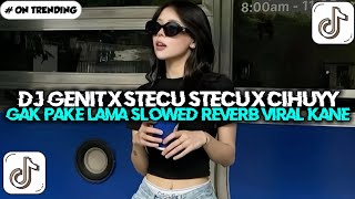 DJ GENIT X STECU X CIHUYY X GAK PAKE LAMA SLOWED REVERB VIRAL TIKTOK JEDAG JEDUG TERBARU