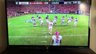 Celebrity Vern & Gary Must Go Wealth