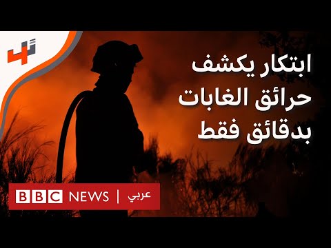 نظام يكشف حرائق الغابات في أقل من 5 دقائق