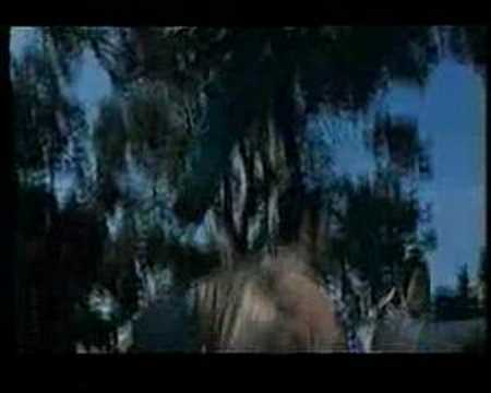 Ranker Video