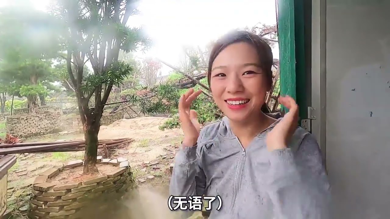 5人耗费8天的大改造！罗汉松盆景这样造型后，升值不少，价值百万