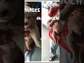 😢🐕🐕