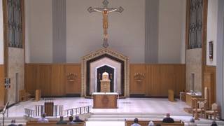 Daily Mass